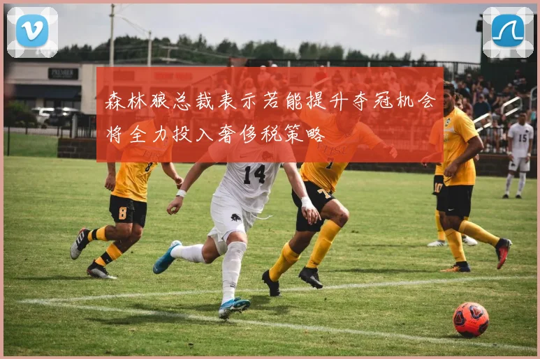 森林狼总裁表示若能提升夺冠机会将全力投入奢侈税策略